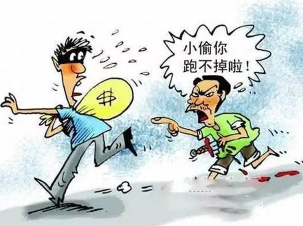 刑法一本通内容解析