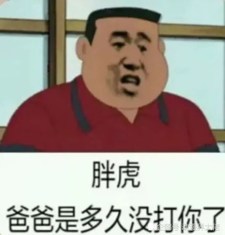 胖虎帅比表情包，网络时代的独特魅力