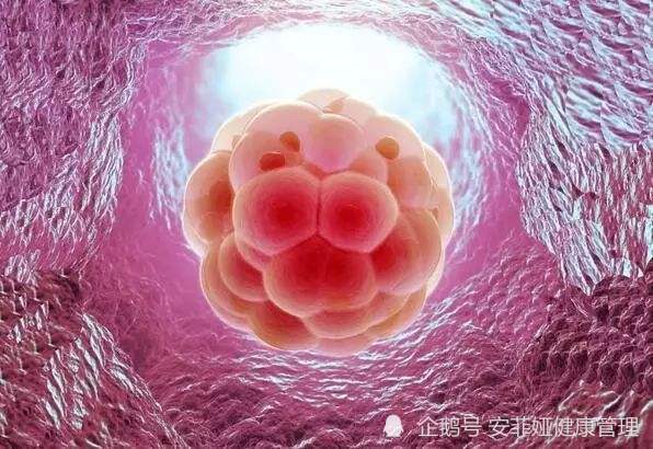 试管婴儿取卵失败，面对挫折的勇气与希望