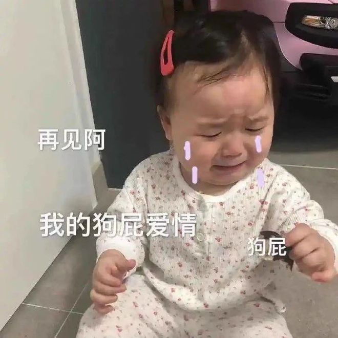 英梨梨表情包，网络时代的情感传递新方式
