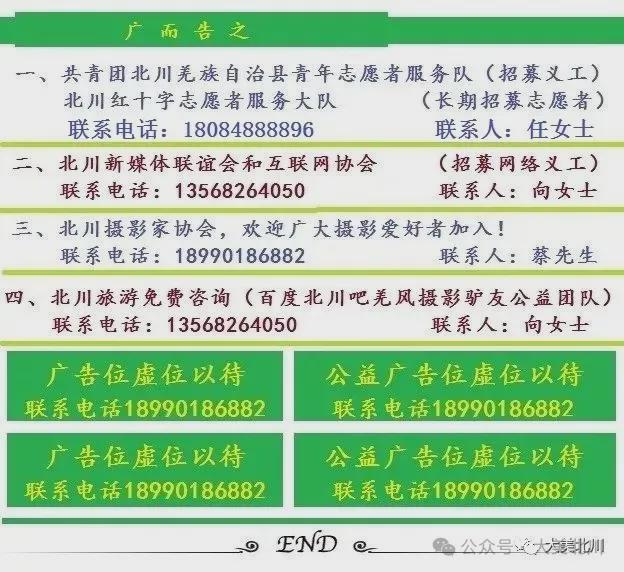 万年通，一本独特而全面的知识宝库