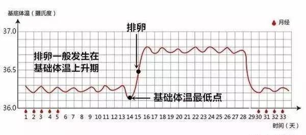 取卵后第三天高烧，原因分析及应对策略
