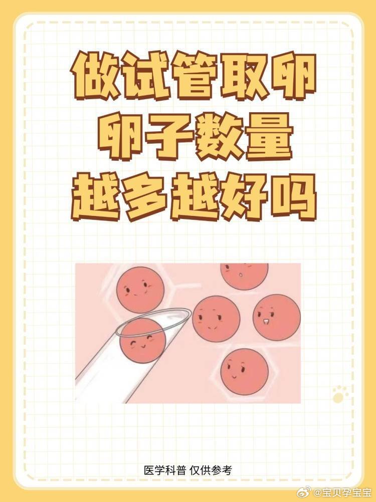 试管婴儿技术中的取卵数量，多少颗卵子最适宜？