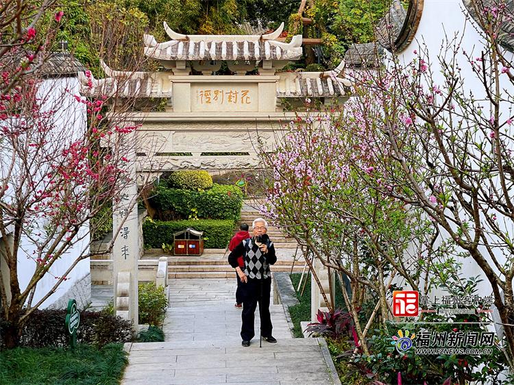 碧桃苗木新品种，未来园林的新宠